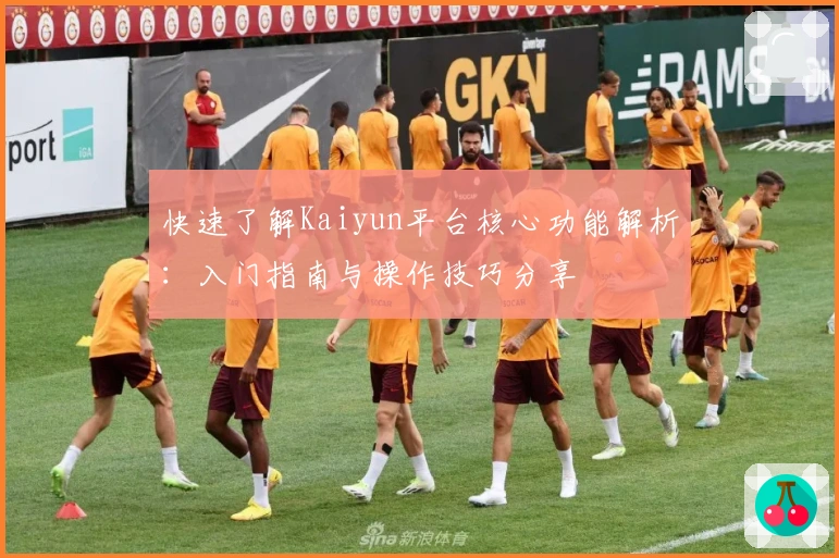 快速了解Kaiyun平台核心功能解析：入门指南与操作技巧分享